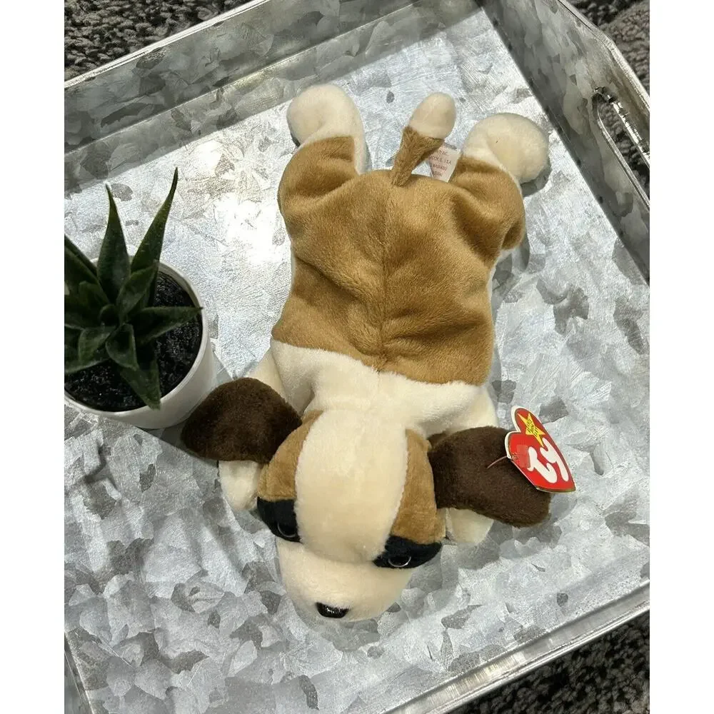 TY Beanie Baby Bernie The‎ St Bernard Dog 1996 NEW